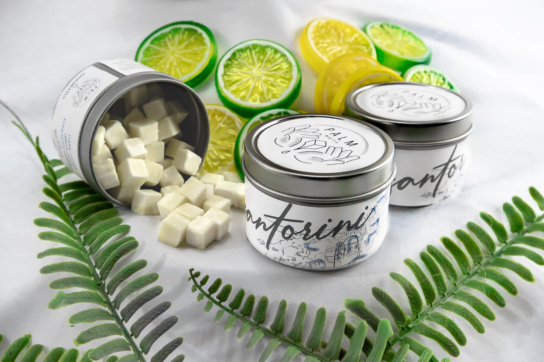 Palm Melts body butter cubes in a tin