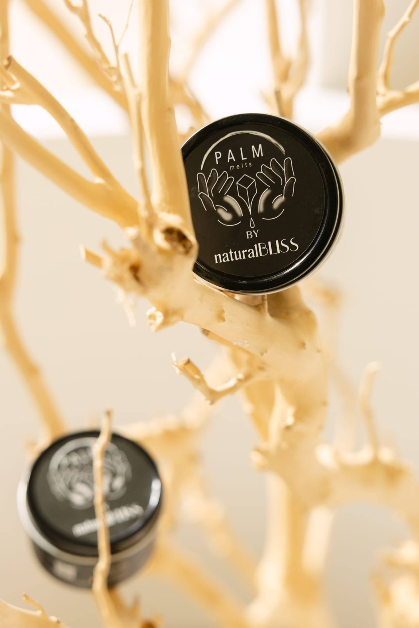 Palm Melts - VANILLA 28 -  KAYALI - (Inspired collection)